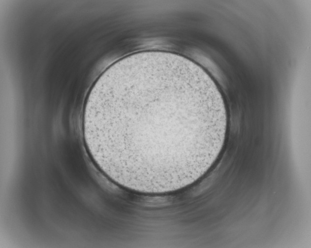 X0000111051338200907021612