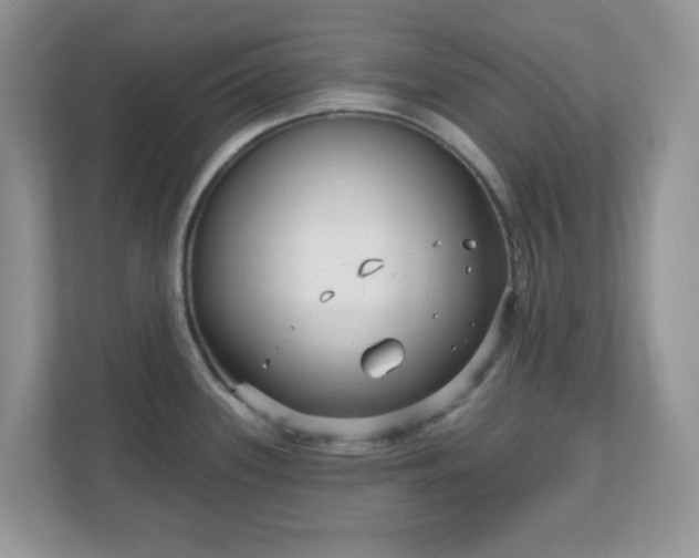 X0000111051339200907021612