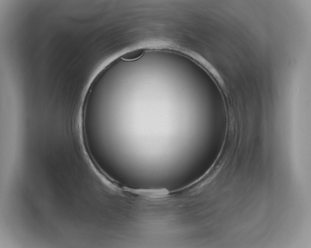 X0000111051343200907021612