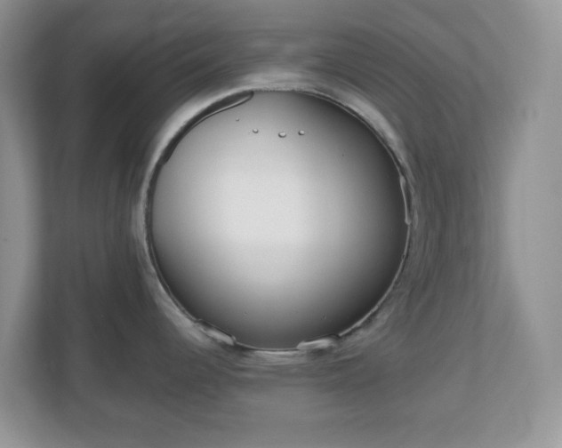 X0000111051344200907021612