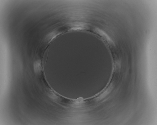 X0000111051353200907021611