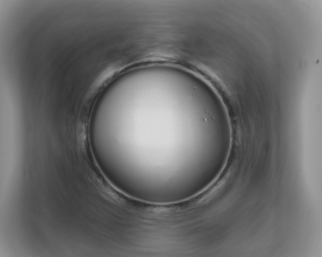 X0000111051355200907021611