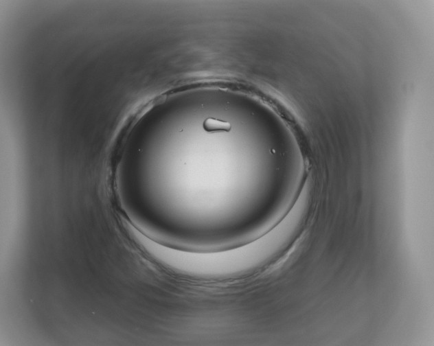 X0000111051357200907021611