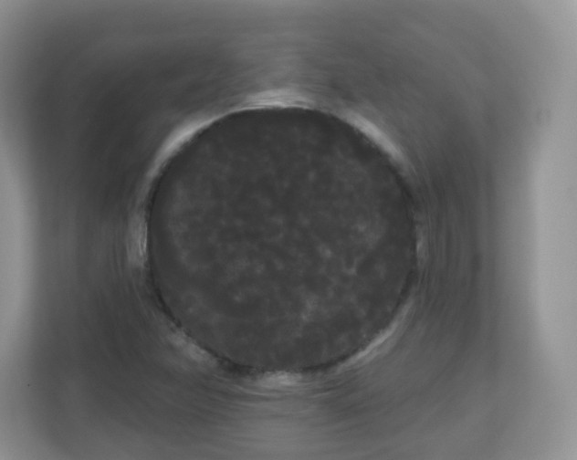 X0000111051358200907021611