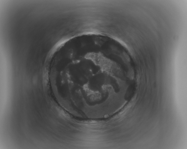 X0000111051359200907021611