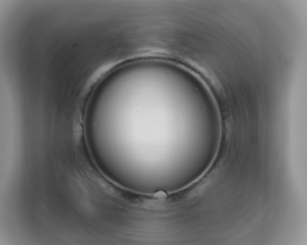 X0000111051363200907021611