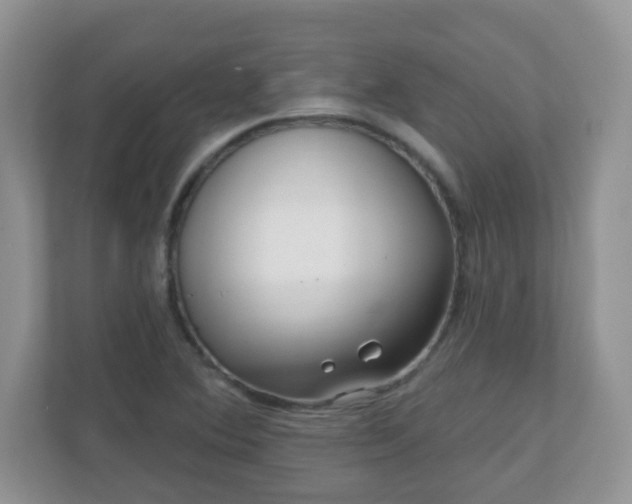 X0000111051364200907021611