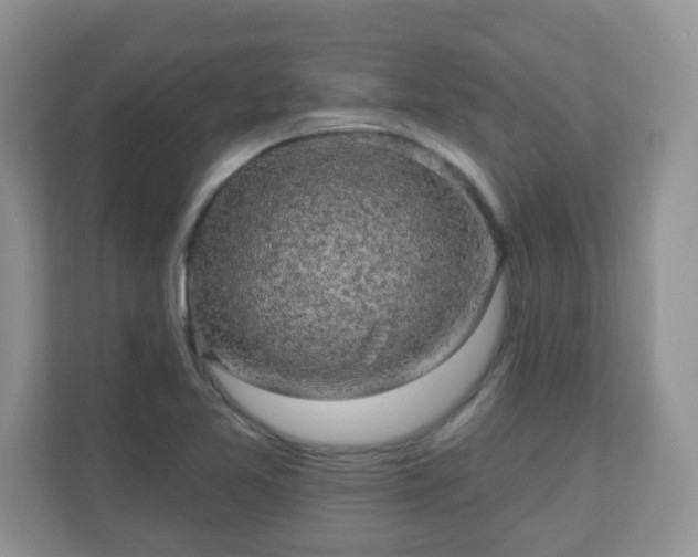 X0000111051365200907021611