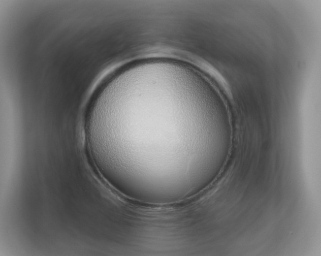 X0000111051368200907021611