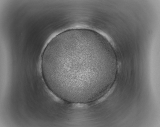 X0000111051374200907021611