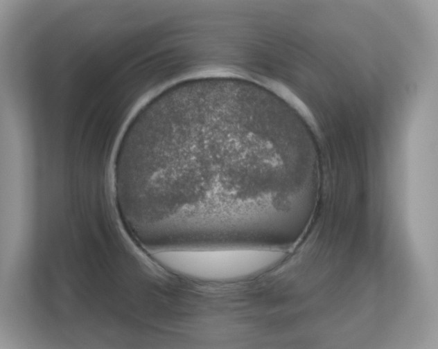 X0000111051380200907021611