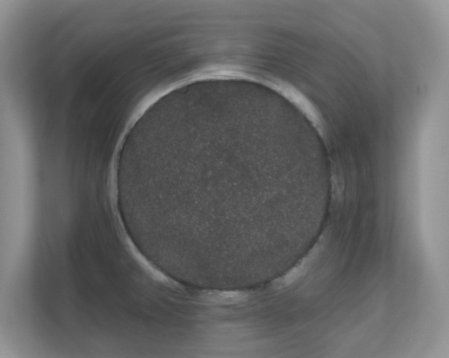 X0000111051382200907021611