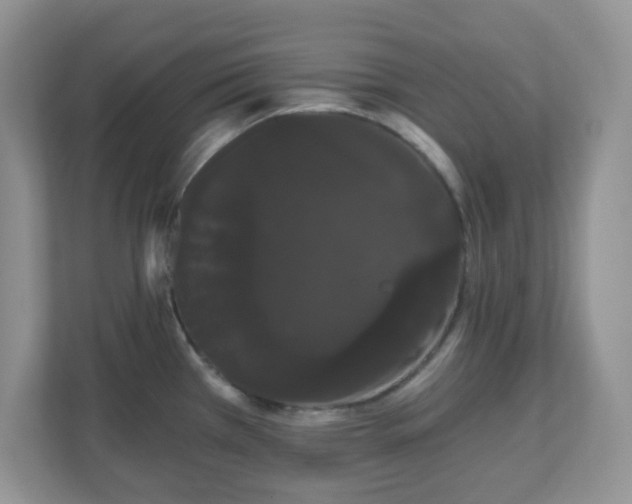 X0000111051385200907021610