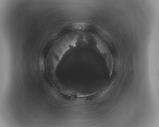 X0000111051394200907021610