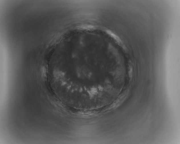 X0000111051397200907021610