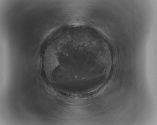 X0000111051398200907021610