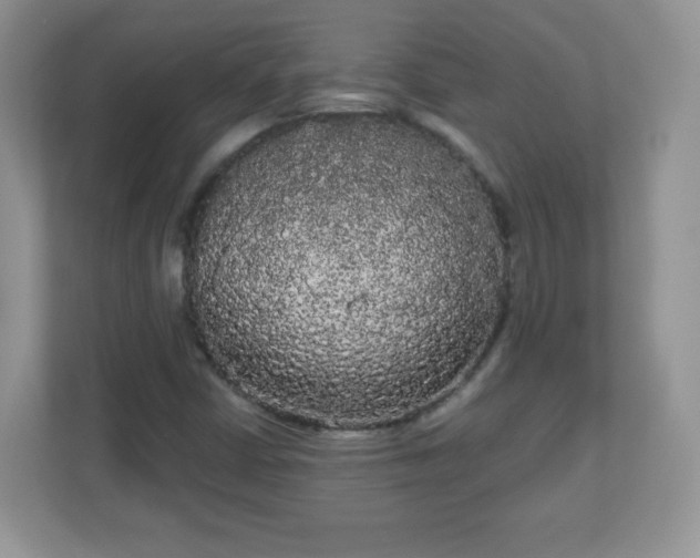 X0000111051402200907021610