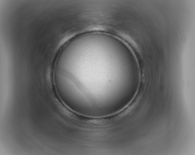 X0000111051404200907021610