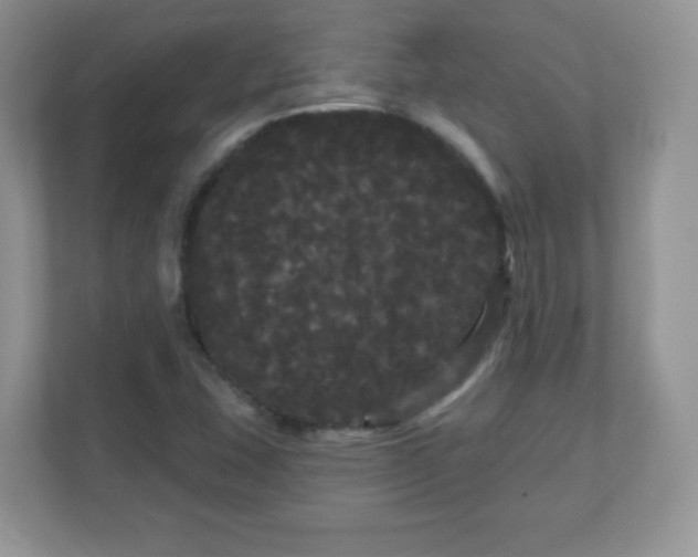 X0000111051407200907021610