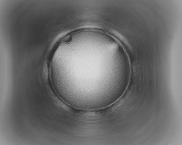 X0000111051408200907021610