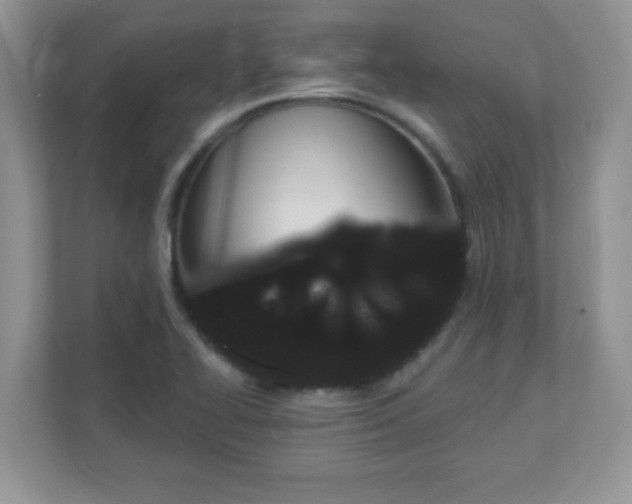 X0000111051414200907021610