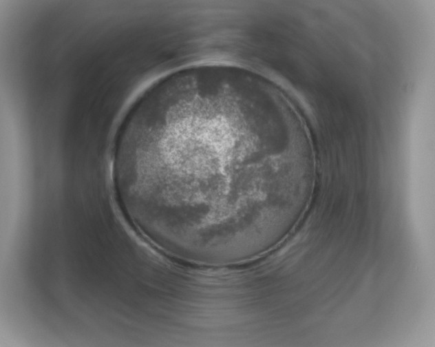 X0000111051416200907021610