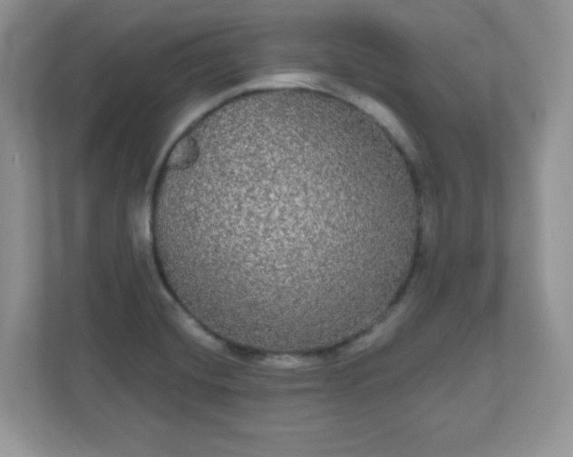 X0000111051420200907021610