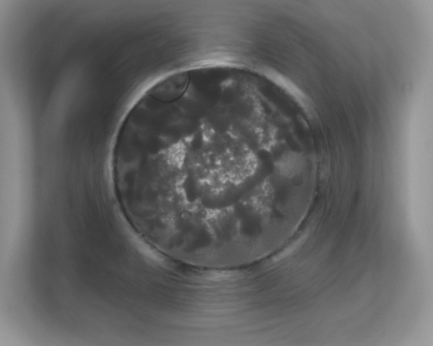 X0000111051423200907021610