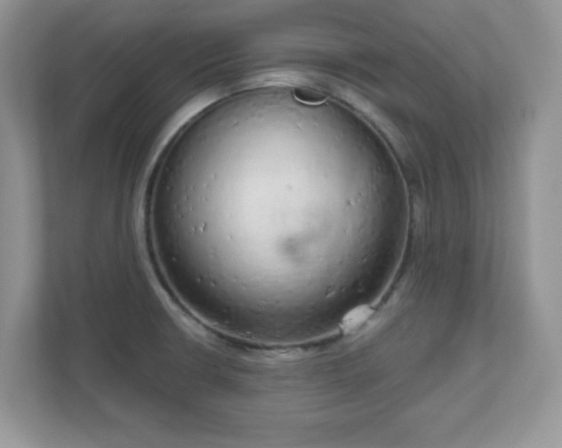 X0000111051426200907021610