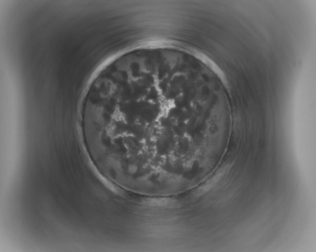 X0000111051429200907021610