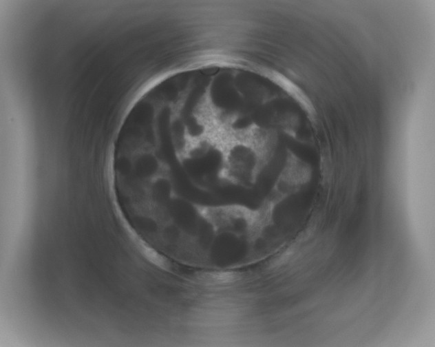 X0000111051431200907021610