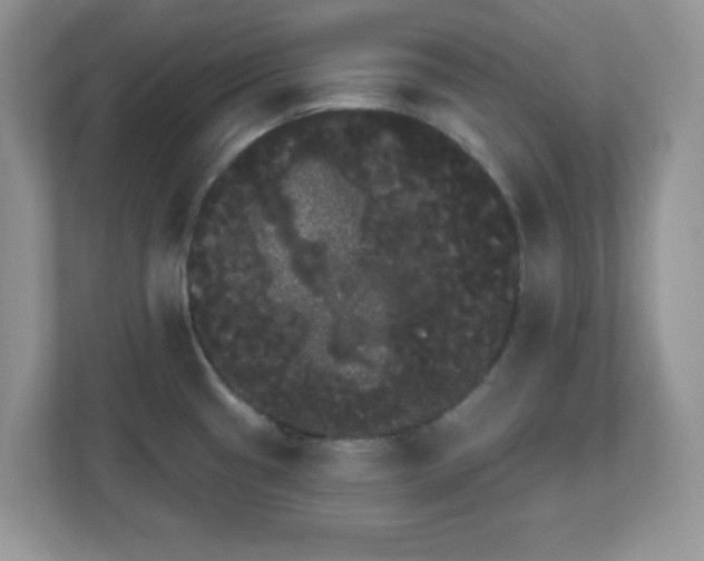 X0000111051433200907021610