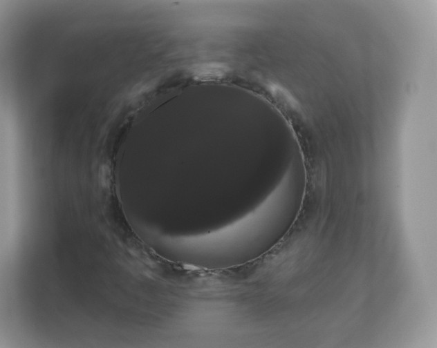 X0000111051445200907021610