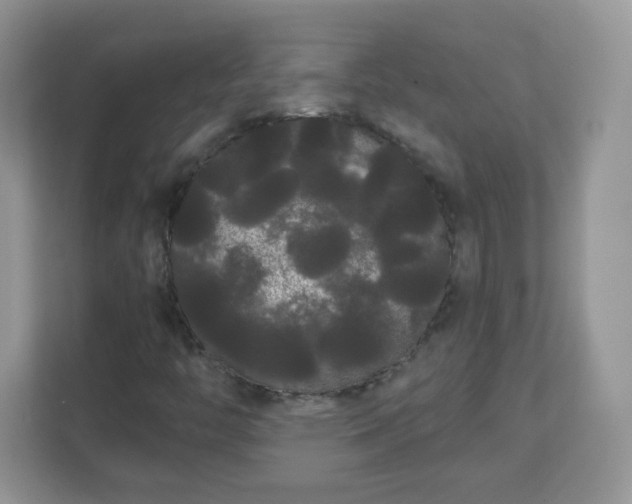 X0000111051446200907021610