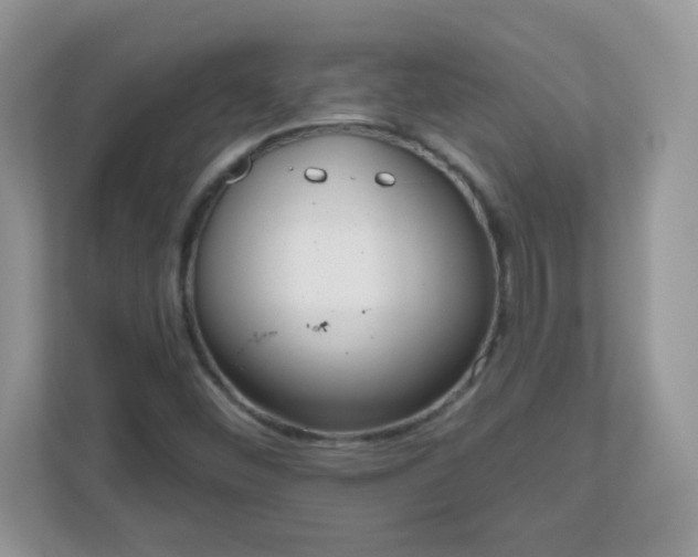 X0000111051452200907021609