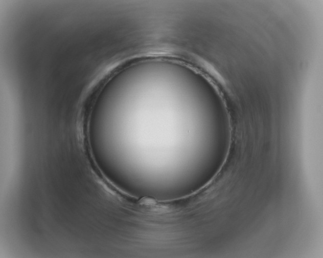 X0000111051456200907021609