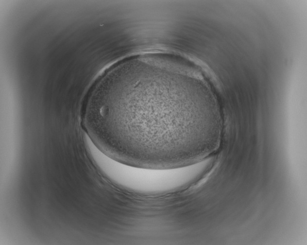 X0000111051457200907021609