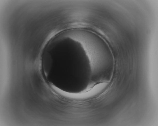 X0000111051459200907021609