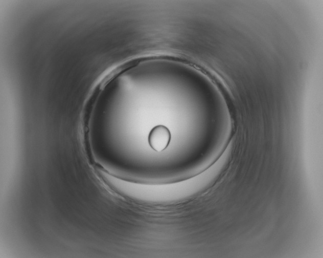 X0000111051460200907021609