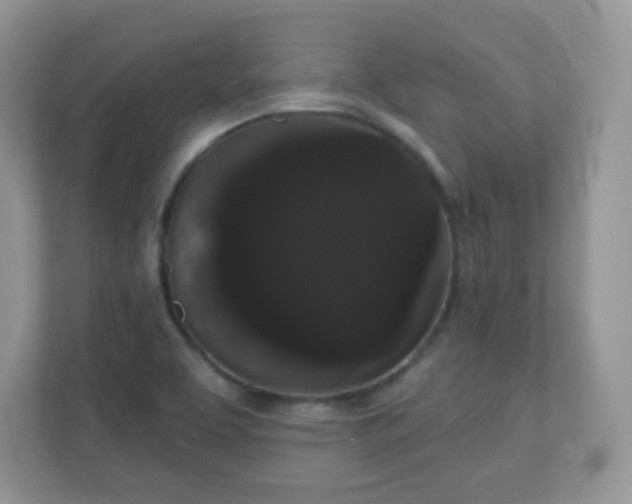 X0000111051463200907021609