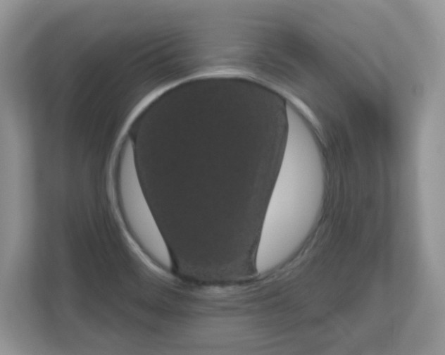 X0000111051468200907021609