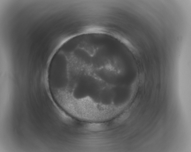 X0000111051470200907021609