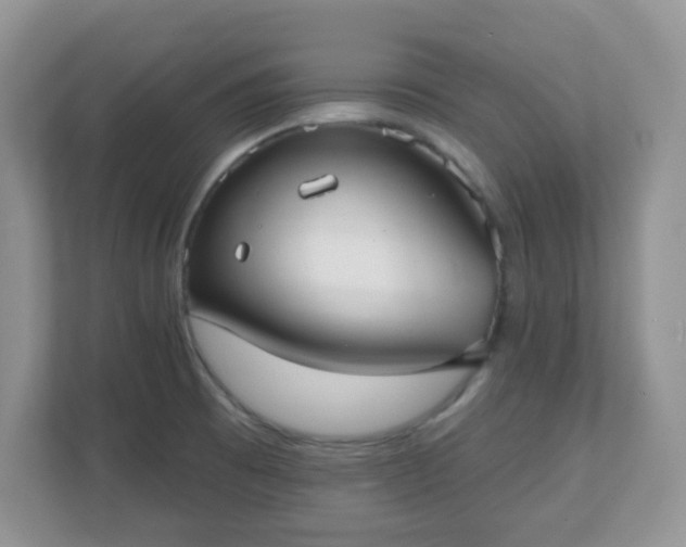 X0000111051473200907021609