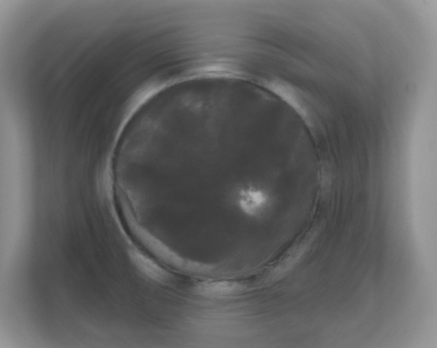 X0000111051474200907021609