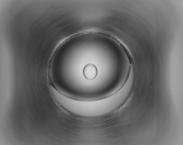 X0000111051481200907021609