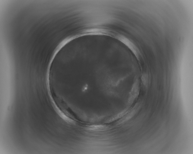 X0000111051482200907021609