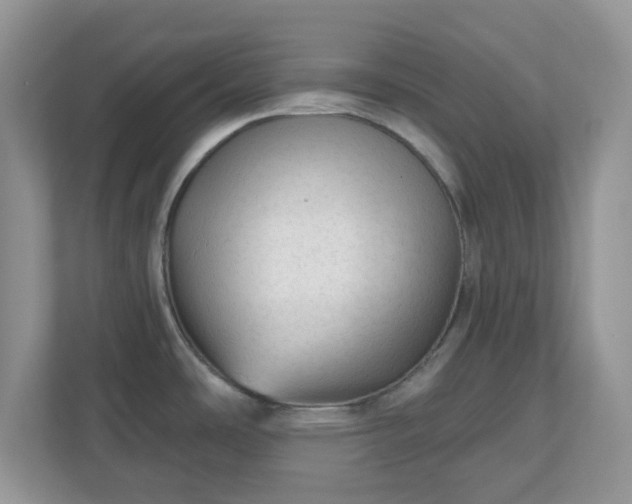 X0000111051486200907021609