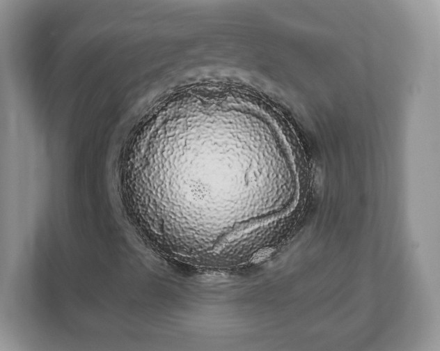 X0000111051489200907021608