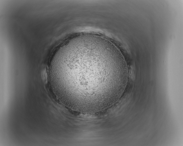 X0000111051493200907021608