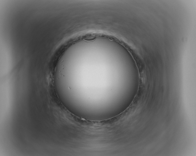 X0000111051495200907021608